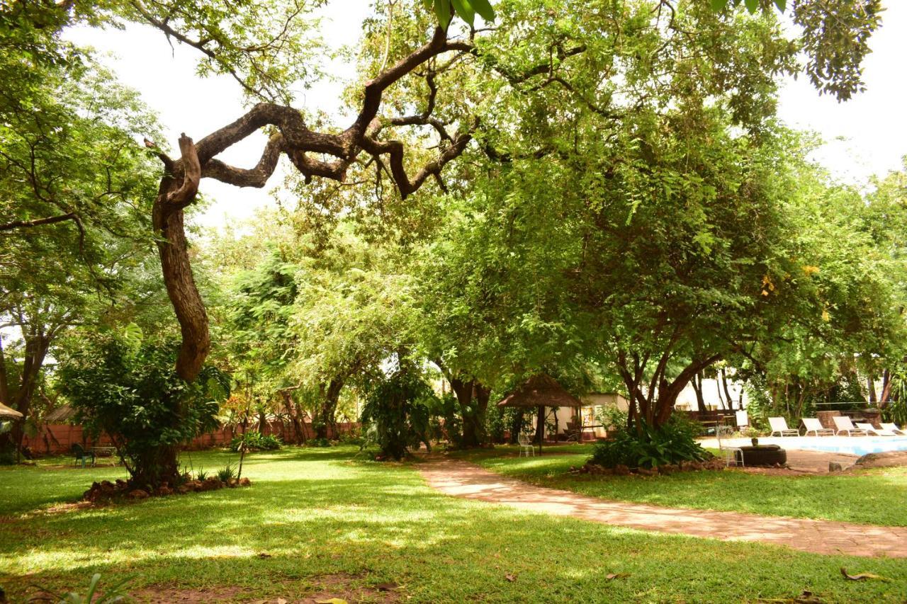 Shoestrings Backpackers Lodge Vic Falls Victoria Falls Eksteriør billede