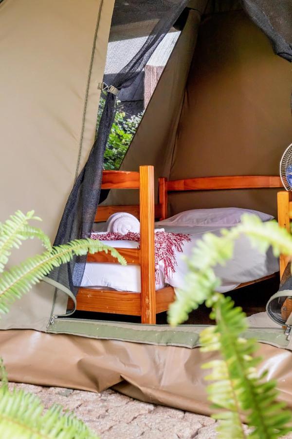 Shoestrings Backpackers Lodge Vic Falls Victoria Falls Eksteriør billede